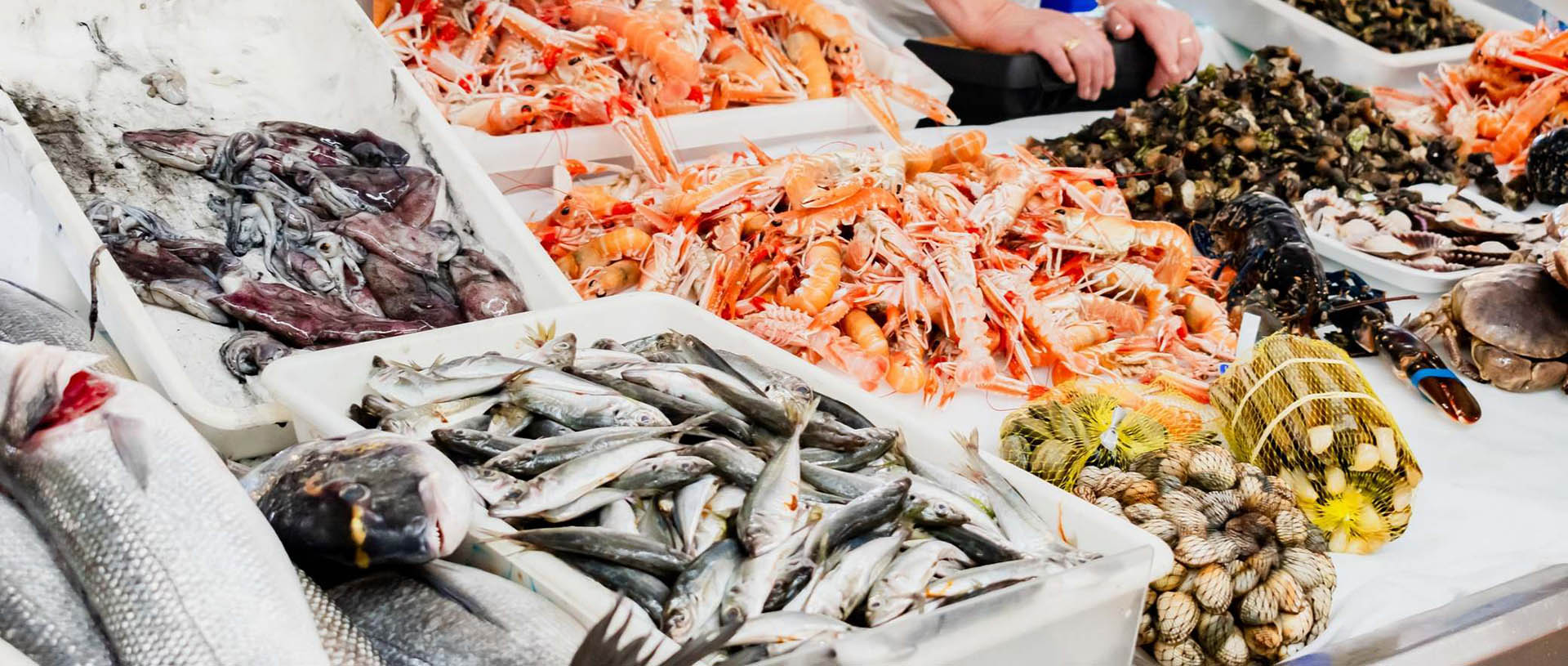 pescado-1